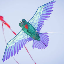 Load image into Gallery viewer, 3D Hummingbird Kite