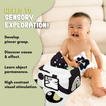 Load image into Gallery viewer, REMZO 3-in-1 Multifunctional Baby Tissue Box Toy w/ Mirror