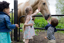 Load image into Gallery viewer, Toy Horse | Sirius the Welsh Mountain Pony | Lottie Dolls